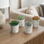 Ensemble de 4 succulentes cactus artificiels en pot