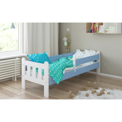 Judd Standard