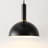 Daisymarie 1 - Light Black Dome Pendant