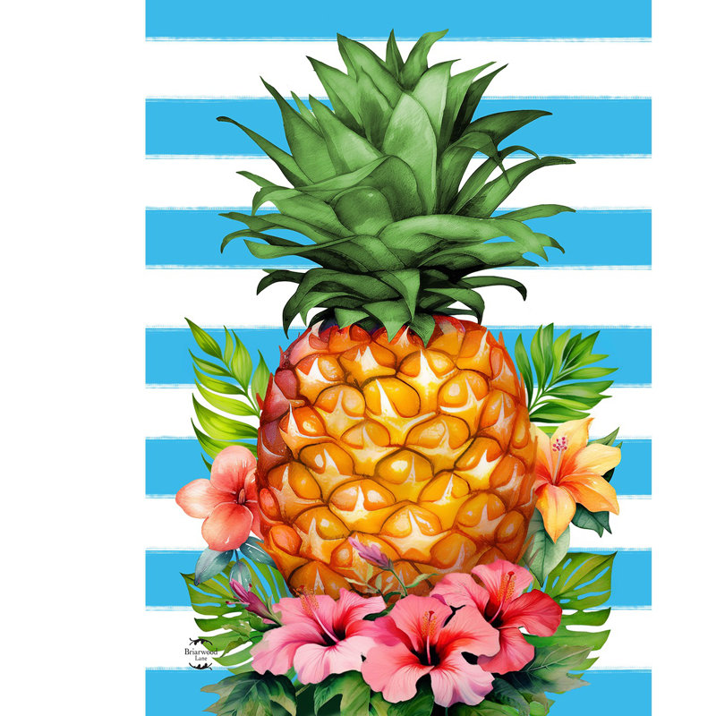 Drapeau de jardin ananas et rayures