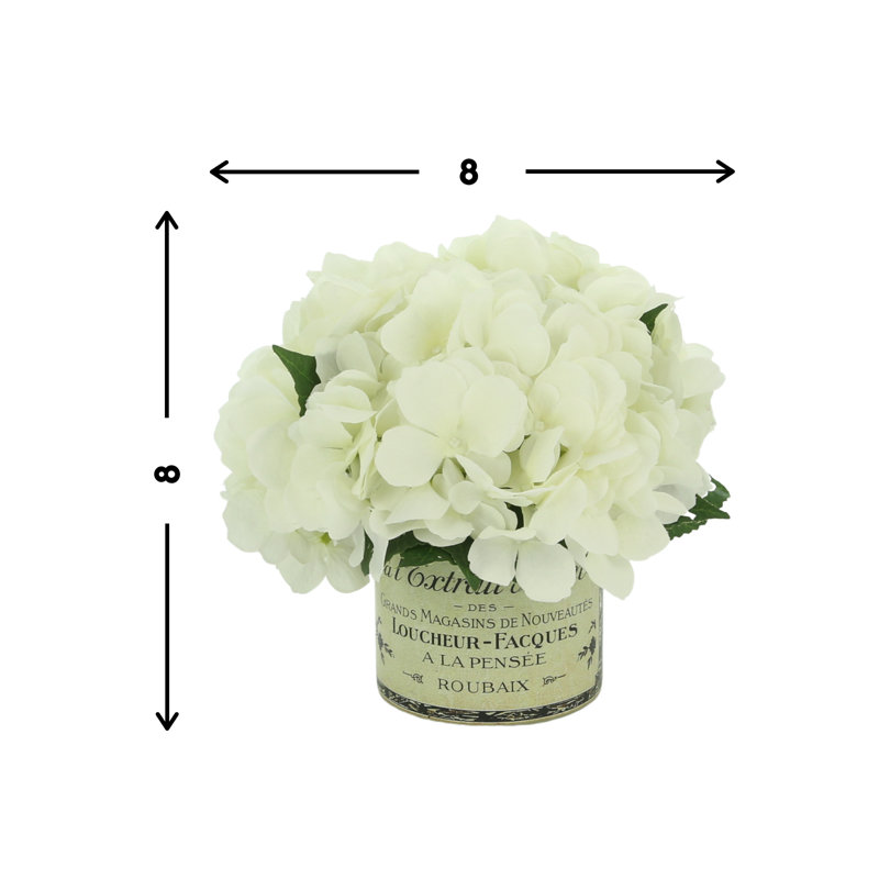 White Hydrangea Arranged In A French Labeled Glass Vase