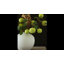 Branche de pomme verte artificielle avec feuilles-349688459