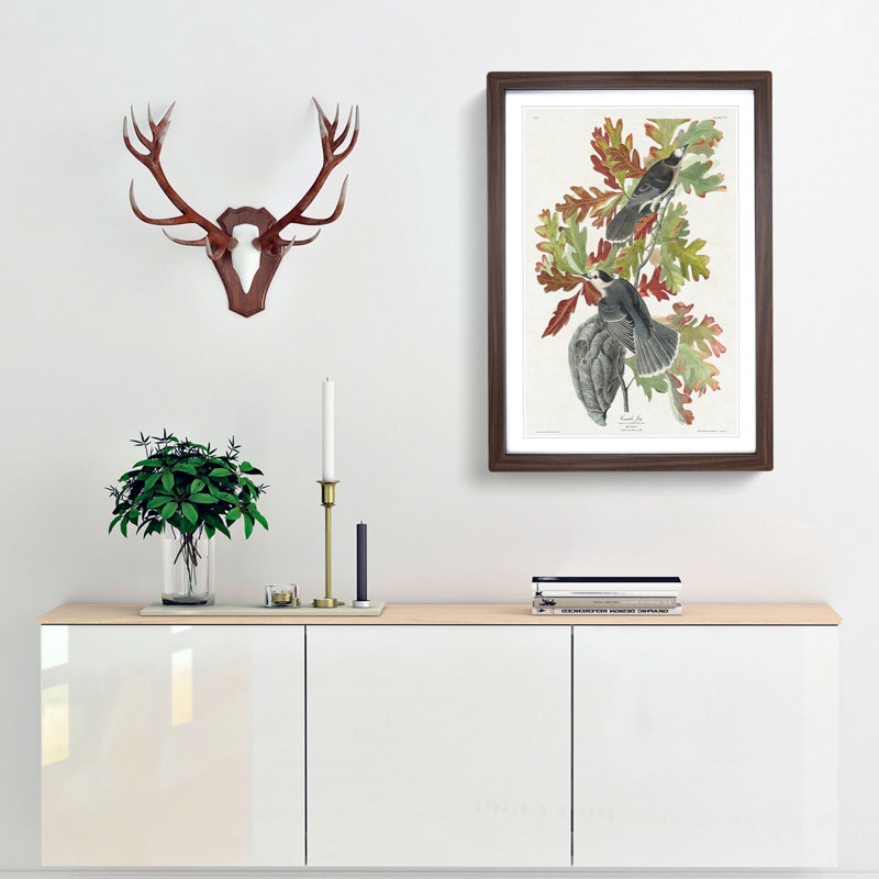 Canada Jay Birds by John Audubon - Picture Frame Painting Print, 65cm H x 48cm W x 2cm D, Walnut Framed