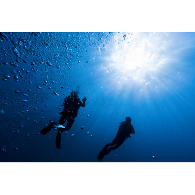Two Scuba Divers by Mafelipe