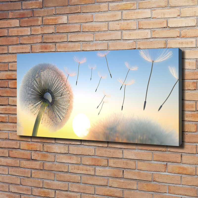 Dandelion - Wrapped Canvas Print