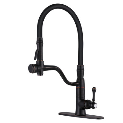 Aleasha Kitchen Faucet