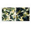 Cornesha - Ensemble de 2 peintures murales abstraites en acrylique-103928989