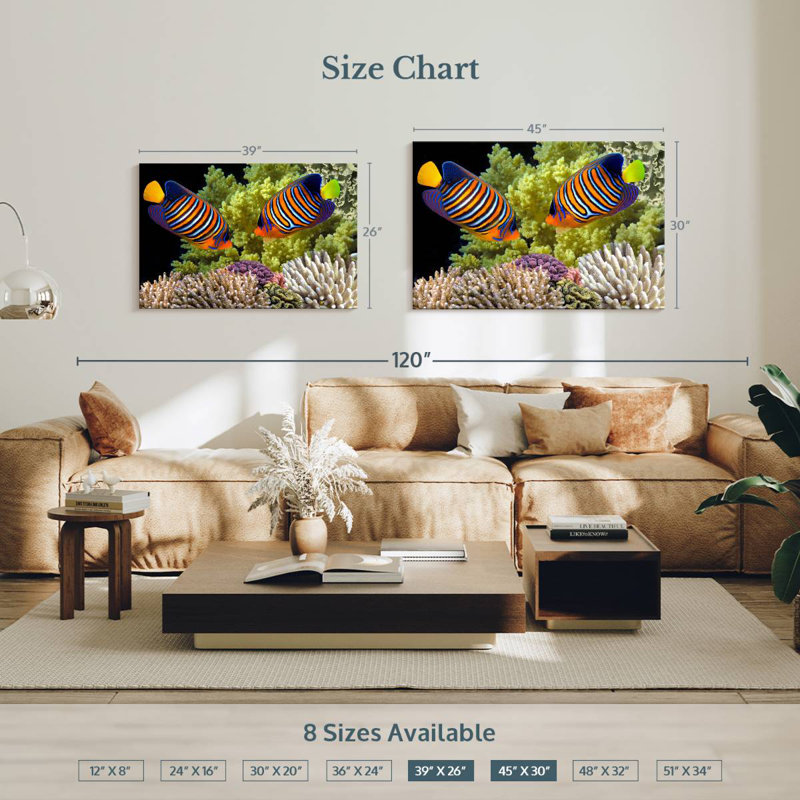 Brampt Red Sea Reef Regal Angelfish, 26" H x 39" W