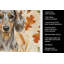 Serviette de cuisine tricolore Sheltie-2083472337