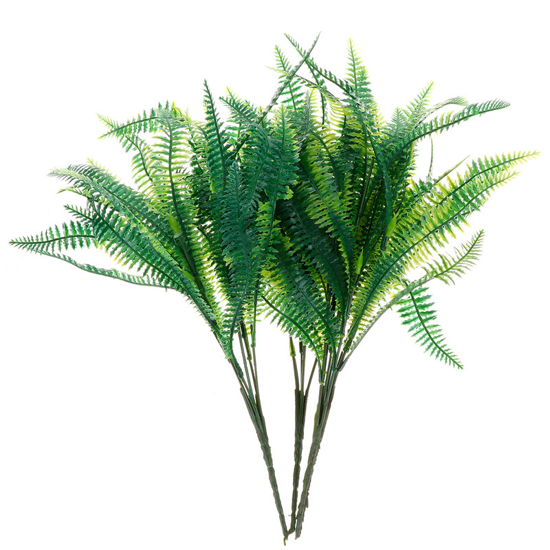 Boston Fern Leaf Arrangement