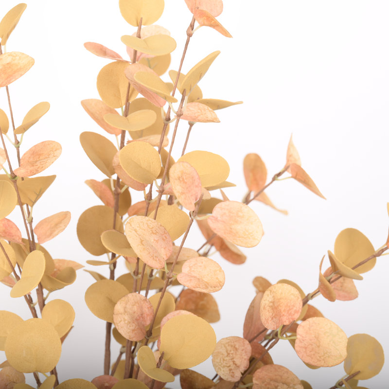 Cortland 24 "Fall Eucalyptus Fall, Brun