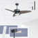 Cieron 52'' Ceiling Fan with LED Lights