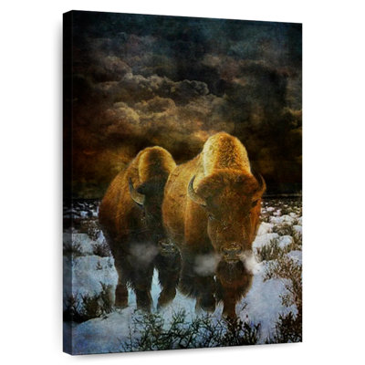 Brampt Storm Bison