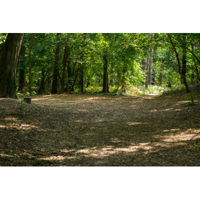 Trees In The Forest by Dinja - Wrapped Canvas Print