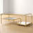 Galilea Rectangular Coffee Table with Storage in Gold and Mirrored