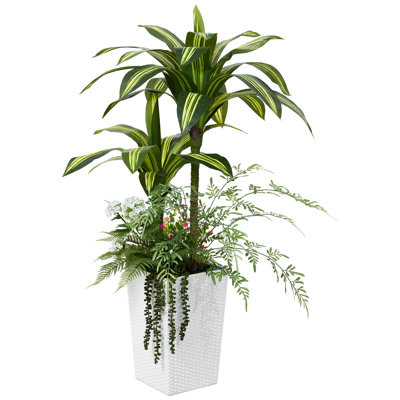 Adcock 48" Dracaena Tree in Decorative Vase