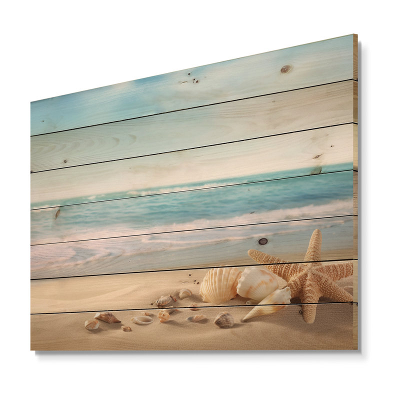 Étoile de mer et coquillages II - impression de paysage moderne sur bois de pin naturel, H 30 po x l 40 po x P 0,78 po