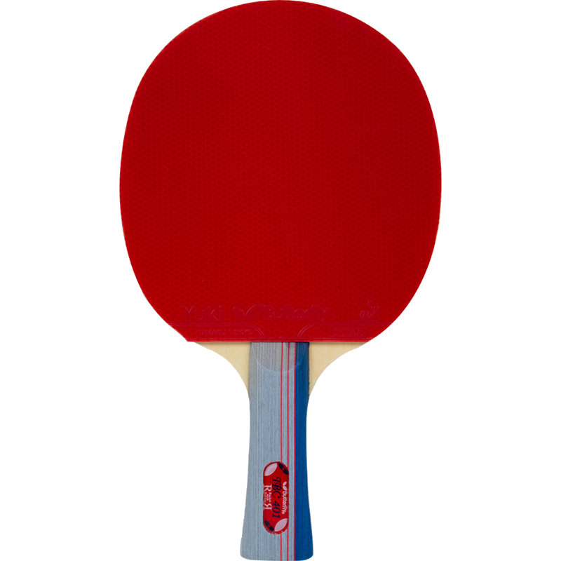 Butterfly 401 Table Tennis Paddle