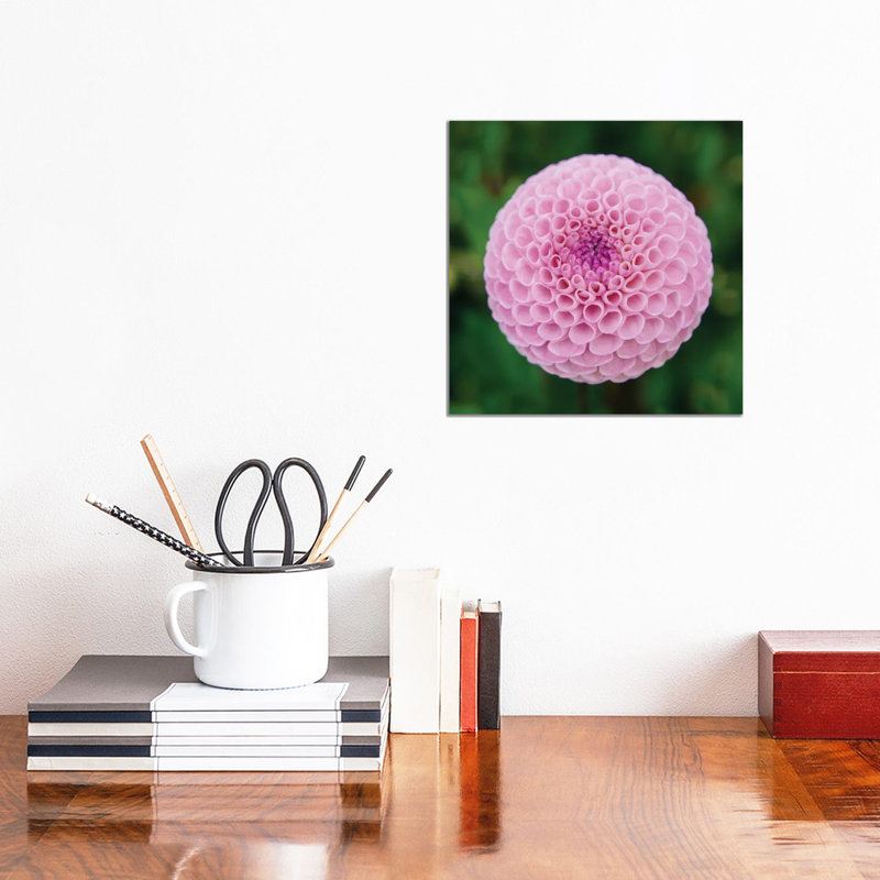 Cool Bloom II by Faith Evans-Sills - Wrapped Canvas Gallery-Wrapped Canvas Giclée, Wrapped Canvas, 12" H x 12" W