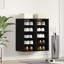 10 Pair Shoe Storage Cabinet