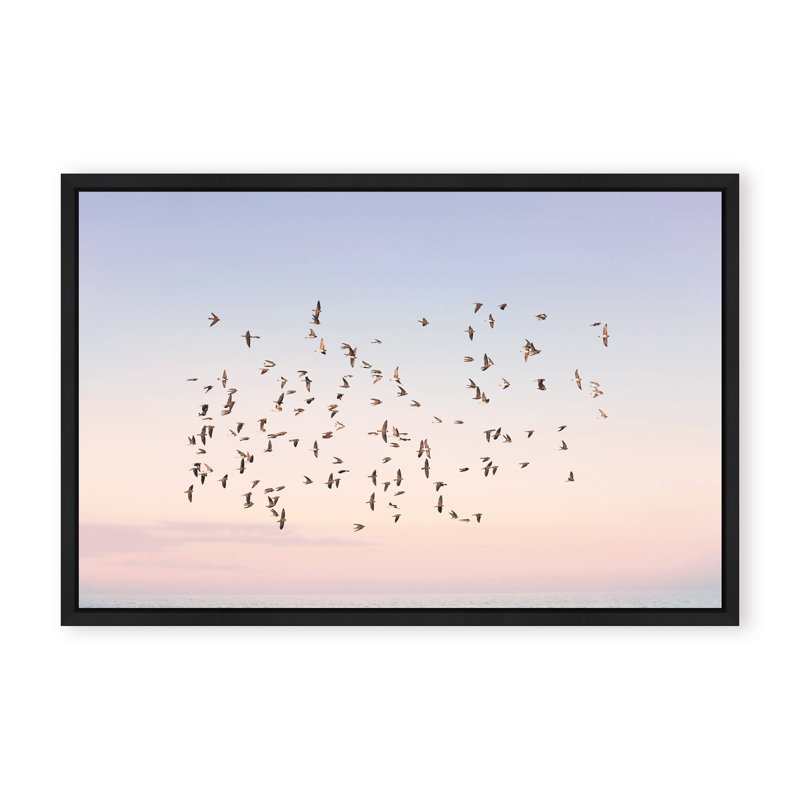 Nature Inspired Sunset Flight by  - Picture Frame Photograph on Paper, 24" H x 36" W x 1.125" D, Framed Print, White