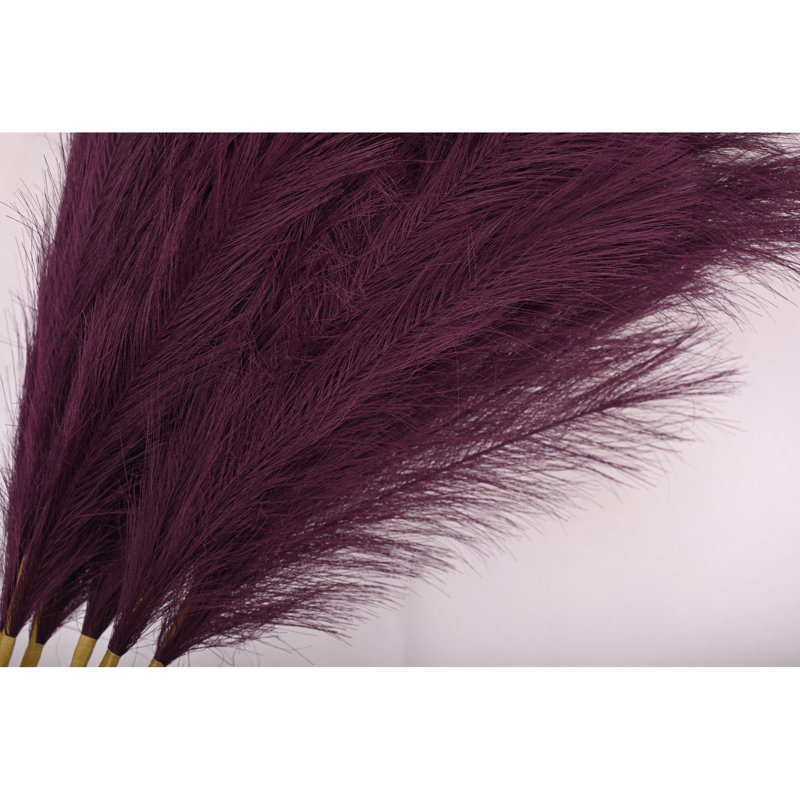 Pampas, Mauve