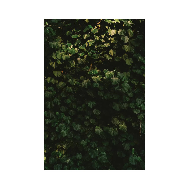 Hawaiian Hearts by Bethany Young - Print on Canvas, Wrapped Canvas, 45.72cm H x 30.48cm W x 1.91cm D