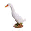 Statue canard