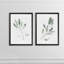 Simple sauge - ensemble de 2 reproductions d'art encadrées-1541205128-1578471020-1578471023