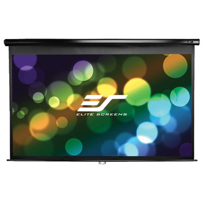 Manual Series Manual Wall/ Ceiling white case Mounted Projector Screen