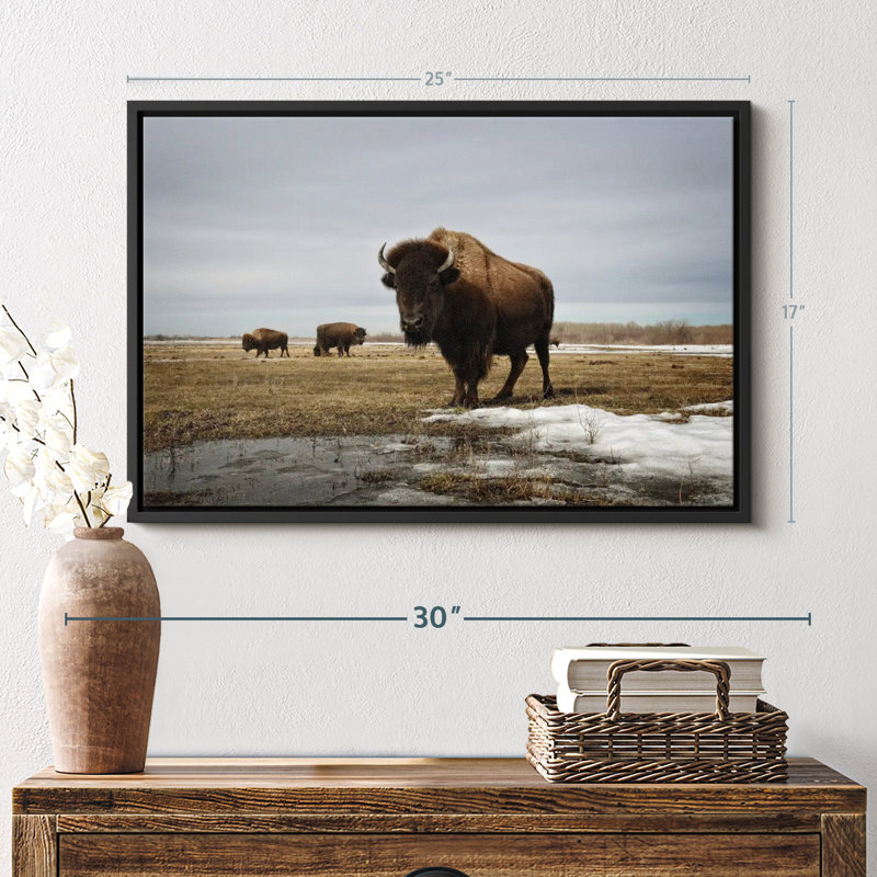 Bison Cloud Day, reproduction sur toile, H 17 po x l 25 po