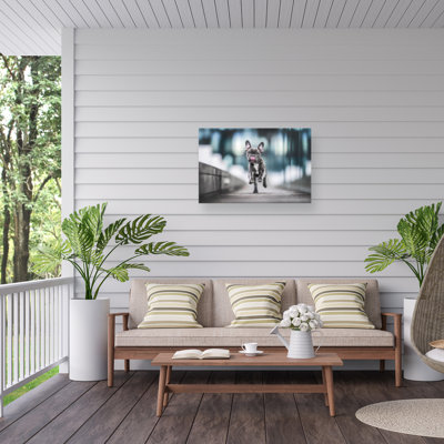 Natalie Grosse On The Move Outdoor  Canvas