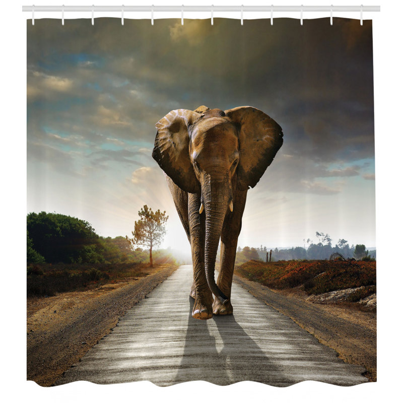 Ensemble de rideau de douche + crochets Elephant, H 75 po x l 69 po