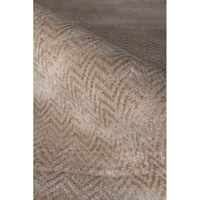 Pavo Tencel Chevron Area Rug in Beige, Rectangle 10' x 14'