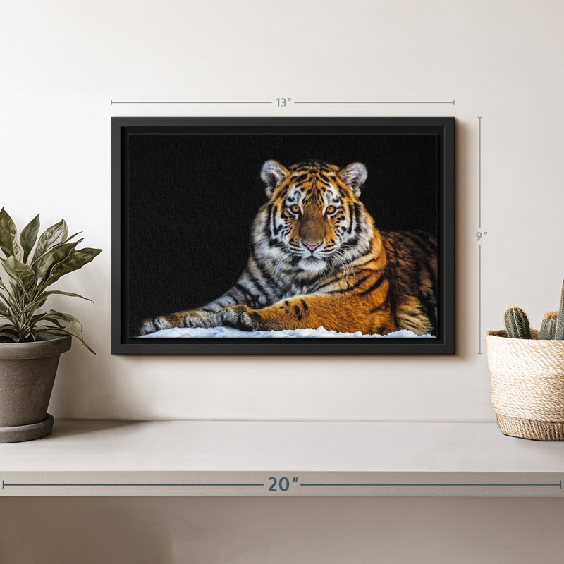 Animal «Snapshot Wall Art», H 9 po x l 13 po