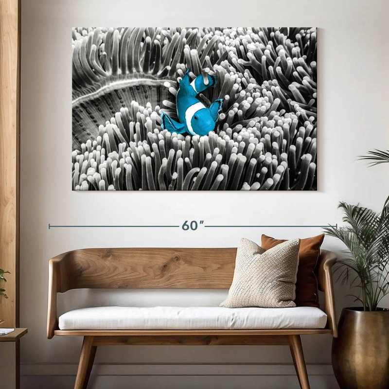 Crowle Clownfish Pop, 34" H x 51" W