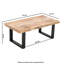 Surrey Sled Coffee Table