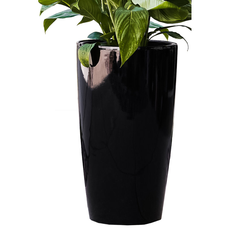 Self Watering Plastic Pot Planter, Black