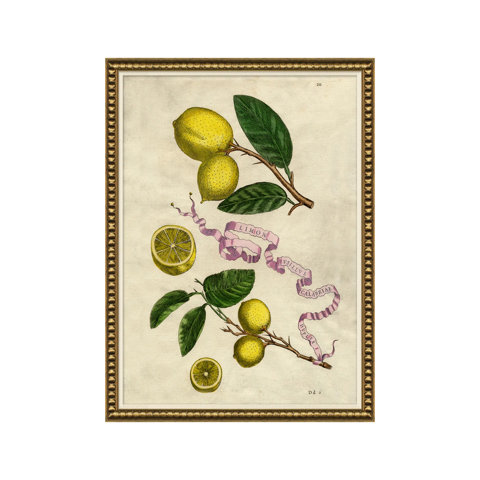 Botanical wall art featuring lemon branches and sliced lemons with a decorative ribbon labeled Limon Pusillus Calabriae Duplex in an ornate gold frame.