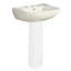 Southhampton Vitreous China U-Shaped Pedestal Bathroom Sink with Overflow-2104426639-2132280276-2132280279