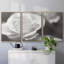 Roseudes IV - Toile encadrée multi-pièces-314373208-314373211