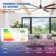 72" Aluminum 6-Blade Large LED Windmill Ceiling Fan With Remote Control