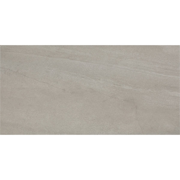Daltile Wanderwise 12 x 24 Glazed Porcelain Floor Tile (9 PC Per Carton) (17.60 SQFT Per Carton)