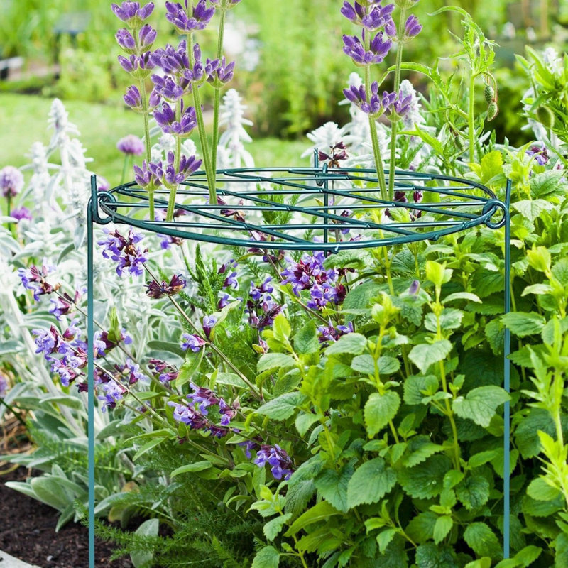 Maryrita Plant Stand Ring Support Iron Round Plant Support With Grid for Outdoor Plants Stakes 70cm