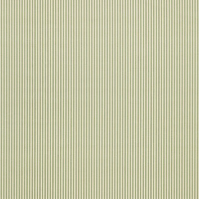 Newport Poplin Stripe Fabric