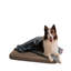 Orthopedic Microfibre Pet Bed-45408832-45430078