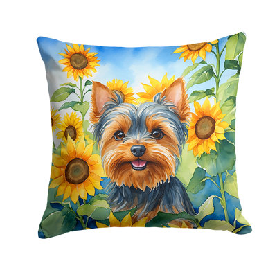 Other/No Pattern Indoor/Outdoor Throw Pillow