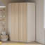 Tashyia 2 Door Manufactured Wood Wardrobe