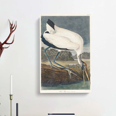 Wood Stork by John Audubon - Wrapped Canvas Painting
