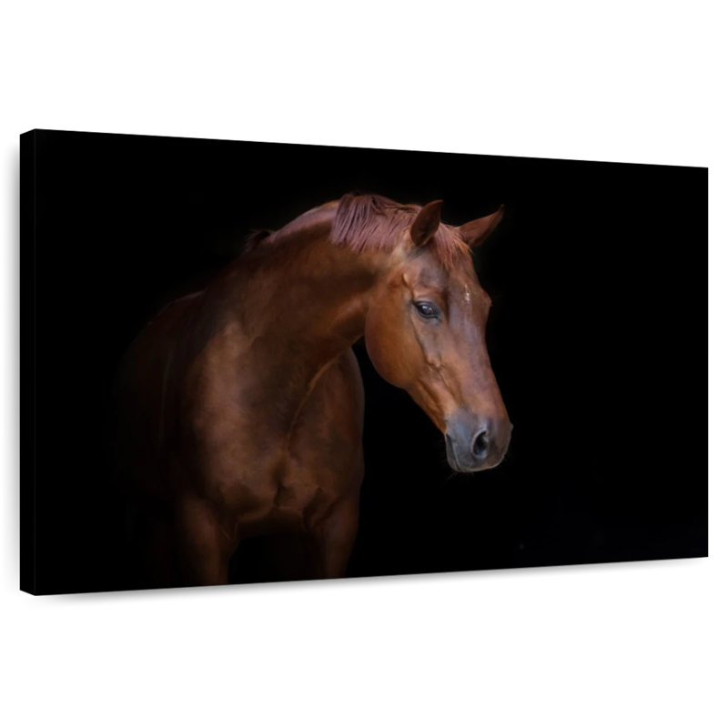 Brampt A Horse, 8" H x 12" W